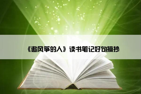 《追风筝的人》读书笔记好句摘抄