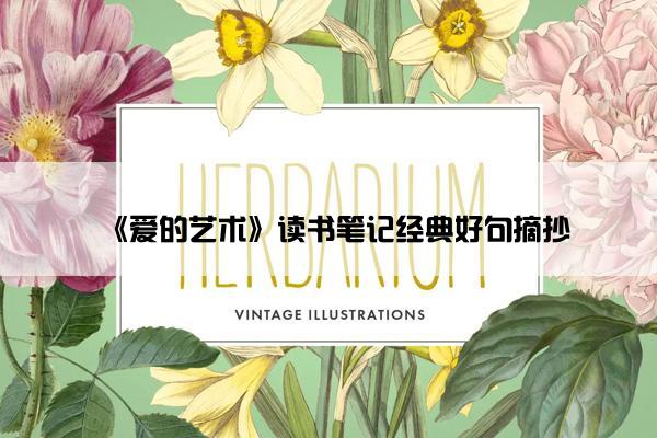 《爱的艺术》读书笔记经典好句摘抄