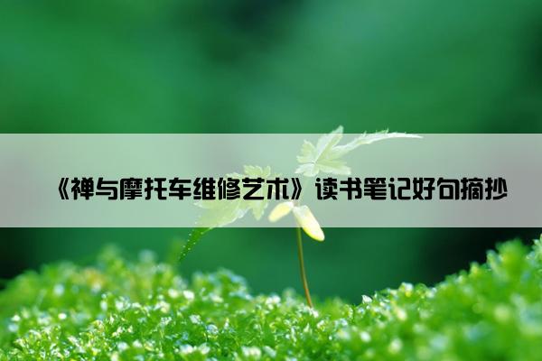 《禅与摩托车维修艺术》读书笔记好句摘抄
