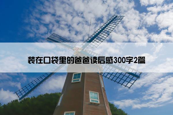 装在口袋里的爸爸读后感300字2篇
