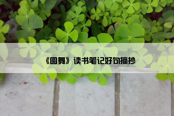 《圆舞》读书笔记好句摘抄