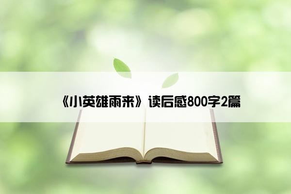 《小英雄雨来》读后感800字2篇