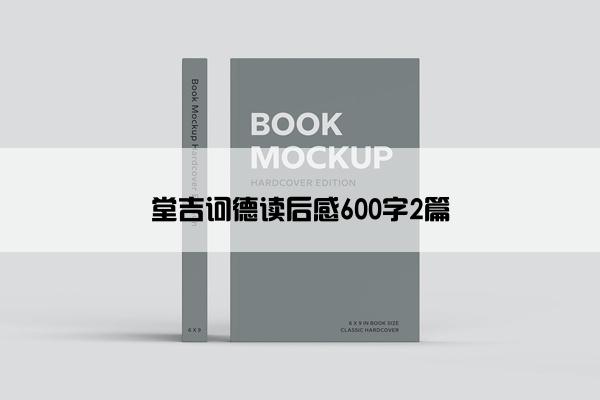 堂吉诃德读后感600字2篇