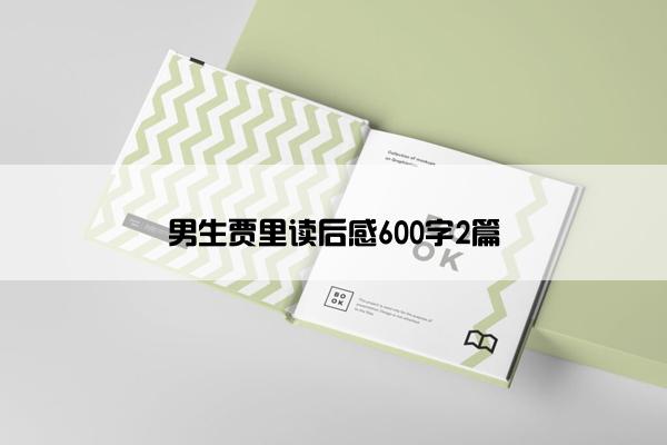 男生贾里读后感600字2篇