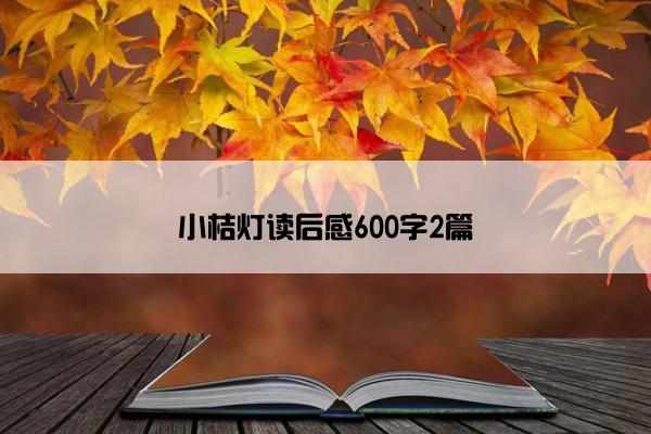 小桔灯读后感600字2篇