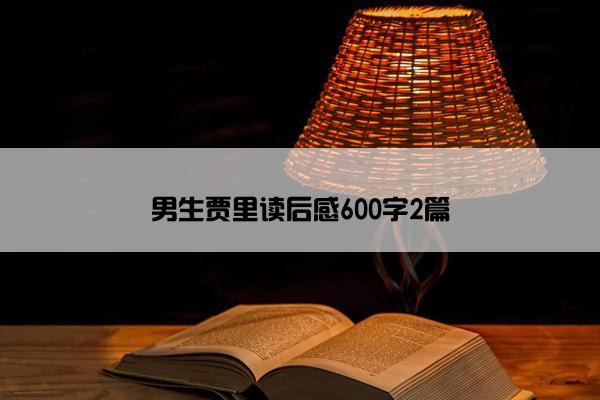 男生贾里读后感600字2篇