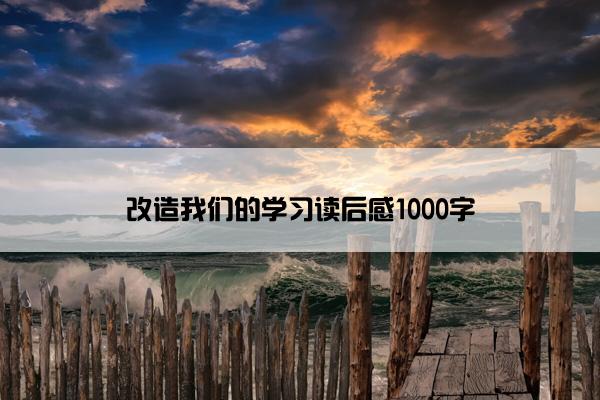改造我们的学习读后感1000字