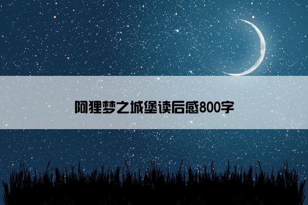 阿狸梦之城堡读后感800字