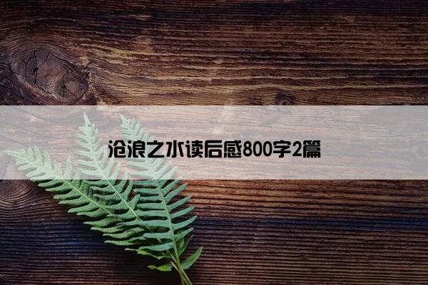 沧浪之水读后感800字2篇