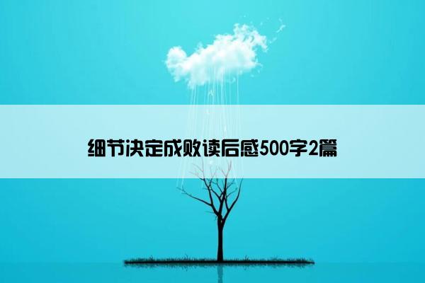 细节决定成败读后感500字2篇