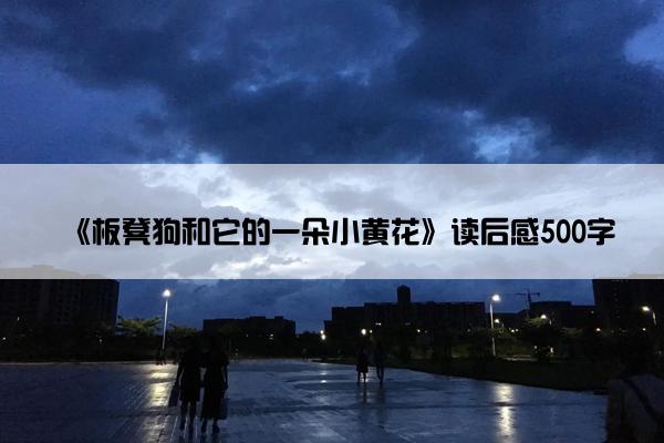 《板凳狗和它的一朵小黄花》读后感500字