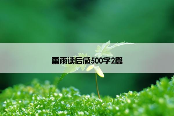 雷雨读后感500字2篇