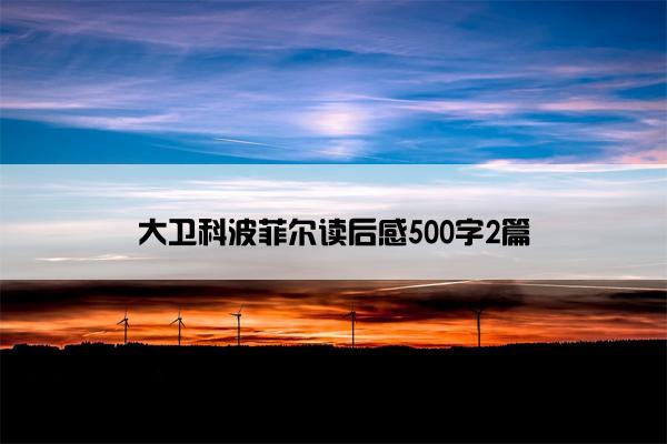 大卫科波菲尔读后感500字2篇