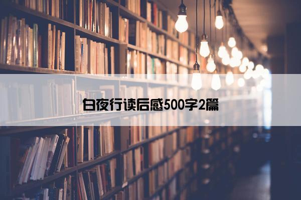 白夜行读后感500字2篇