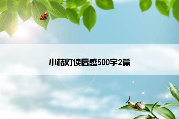 小桔灯读后感500字2篇