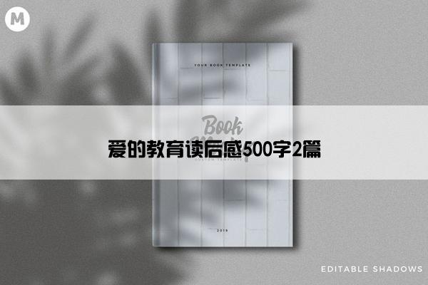 爱的教育读后感500字2篇