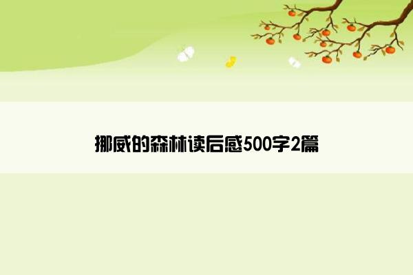 挪威的森林读后感500字2篇