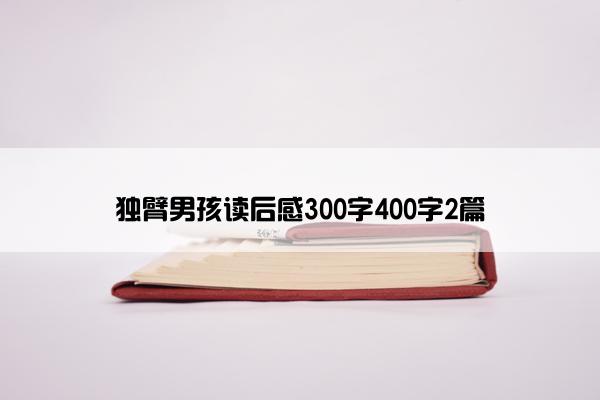 独臂男孩读后感300字400字2篇
