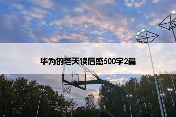 华为的冬天读后感500字2篇
