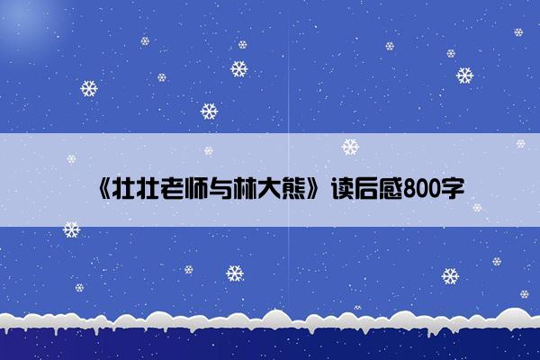 《壮壮老师与林大熊》读后感800字