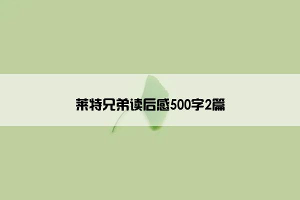 莱特兄弟读后感500字2篇