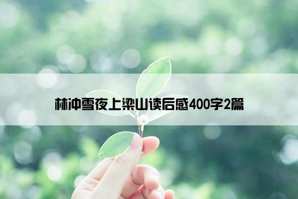 林冲雪夜上梁山读后感400字2篇