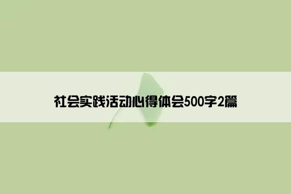 社会实践活动心得体会500字2篇