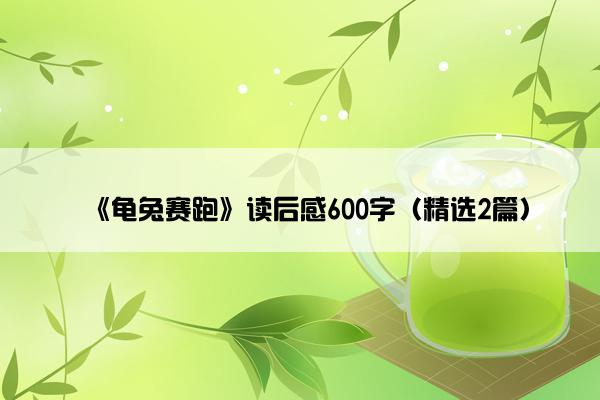 《龟兔赛跑》读后感600字（精选2篇）