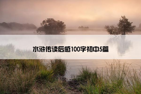 水浒传读后感100字初中5篇