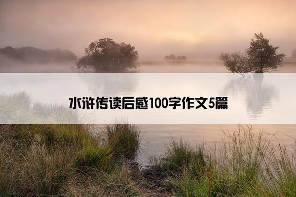 水浒传读后感100字作文5篇