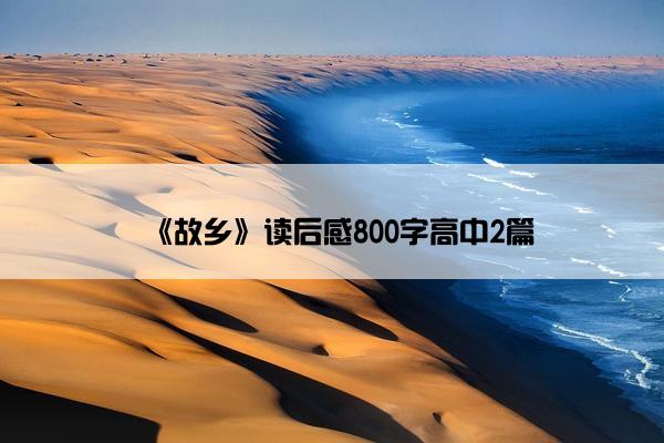 《故乡》读后感800字高中2篇