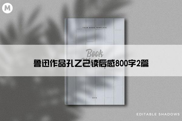 鲁迅作品孔乙己读后感800字2篇