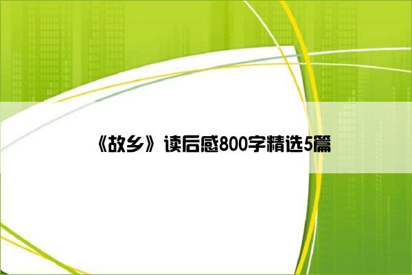 《故乡》读后感800字精选5篇