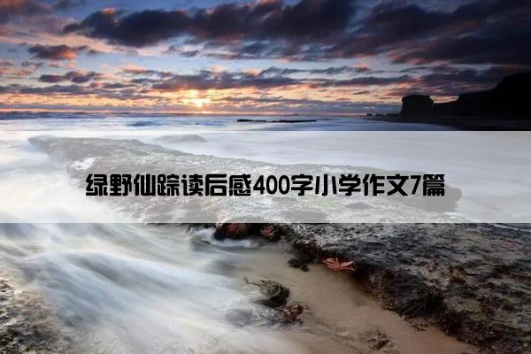 绿野仙踪读后感400字小学作文7篇