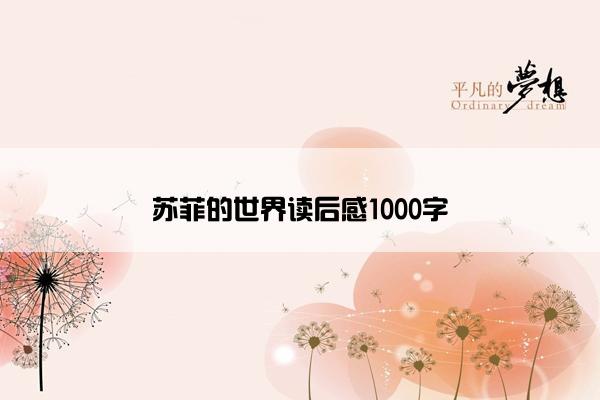 苏菲的世界读后感1000字