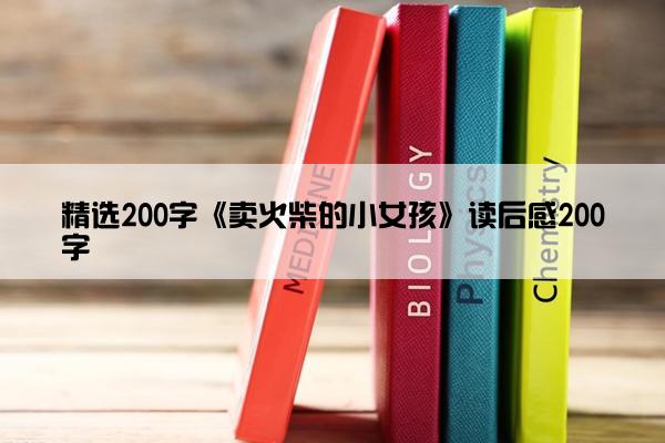 精选200字《卖火柴的小女孩》读后感200字