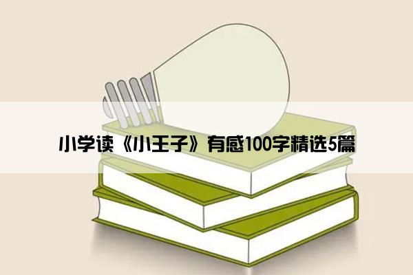 小学读《小王子》有感100字精选5篇