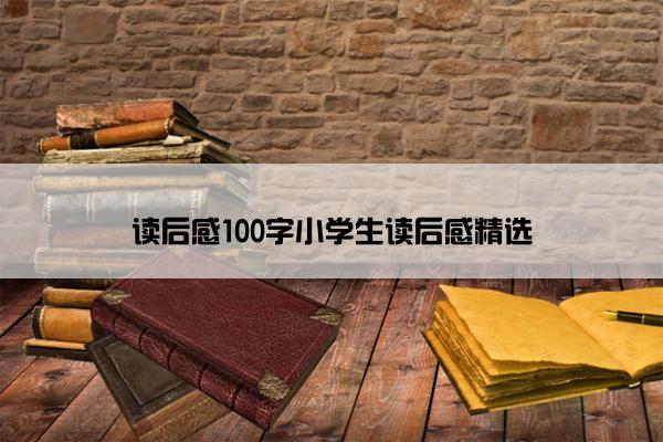 读后感100字小学生读后感精选