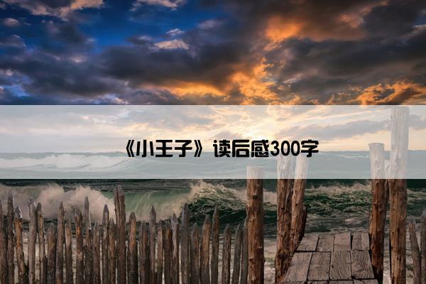 《小王子》读后感300字