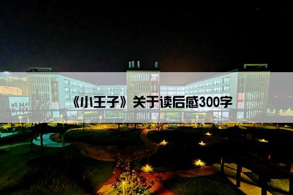 《小王子》关于读后感300字