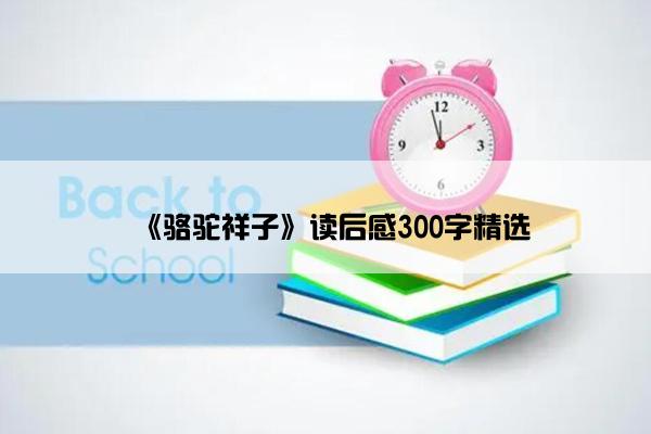 《骆驼祥子》读后感300字精选