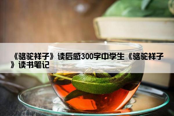 《骆驼祥子》读后感300字中学生《骆驼祥子》读书笔记