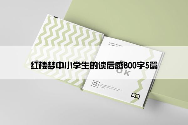 红楼梦中小学生的读后感800字5篇