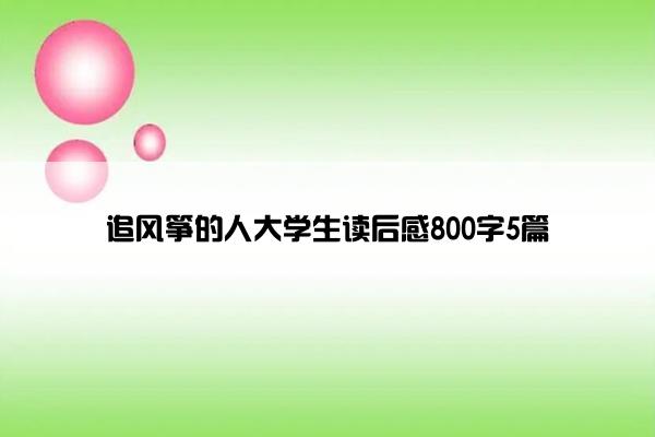 追风筝的人大学生读后感800字5篇