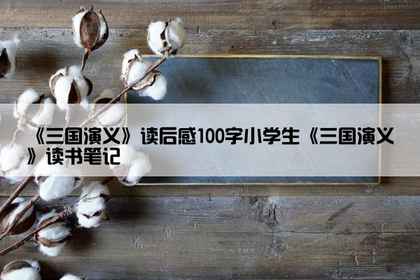 《三国演义》读后感100字小学生《三国演义》读书笔记