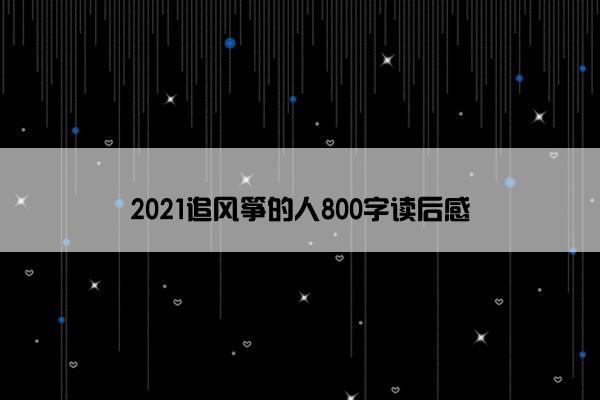 2021追风筝的人800字读后感
