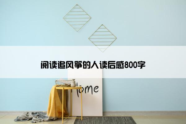 阅读追风筝的人读后感800字