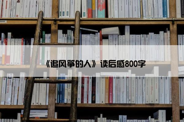 《追风筝的人》读后感800字