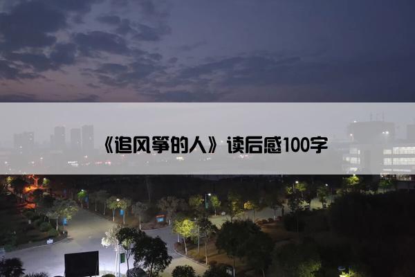 《追风筝的人》读后感100字