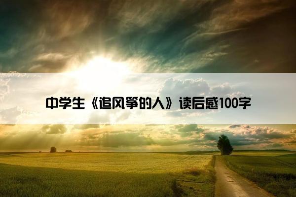 中学生《追风筝的人》读后感100字
